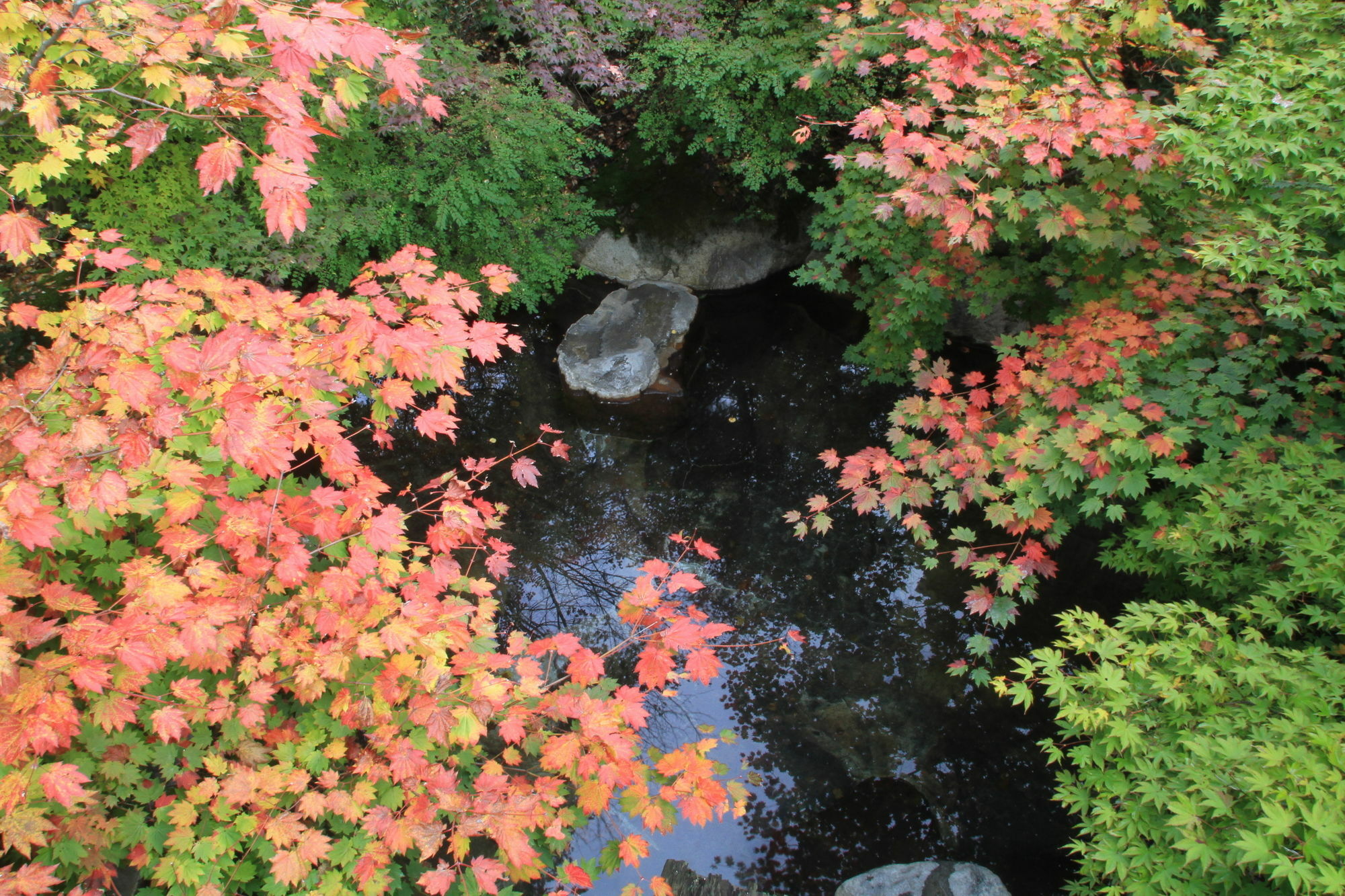 Yumoto Choza Hotel ทาคายาม่า ภายนอก รูปภาพ